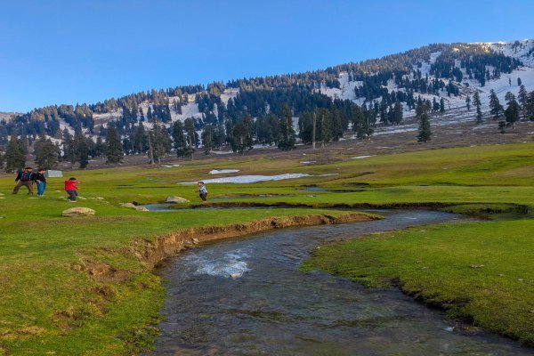 How To Plan A Budget Kashmir Tour