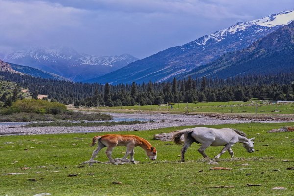 Kashmir Corporate MICE & Retreats
