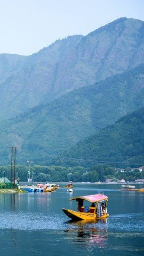 Dal Lake Srinagar Guide