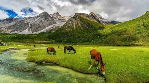 Family Kashmir Tour