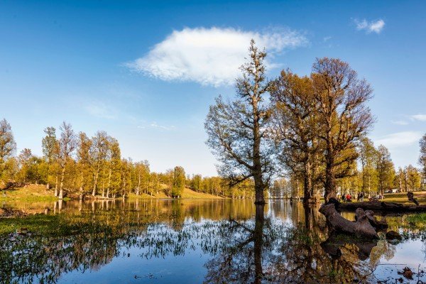 Patnitop Hill Station Guide