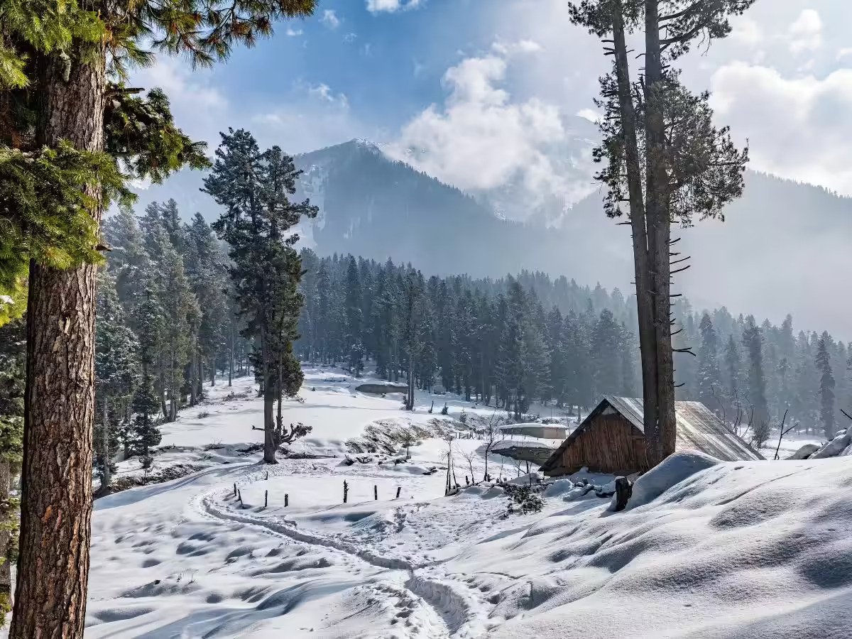 Sinthan Top Pass