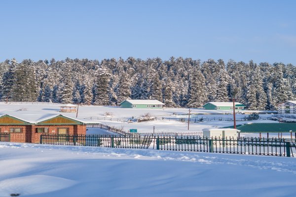 Snowfall Season & Skiing In Kashmir